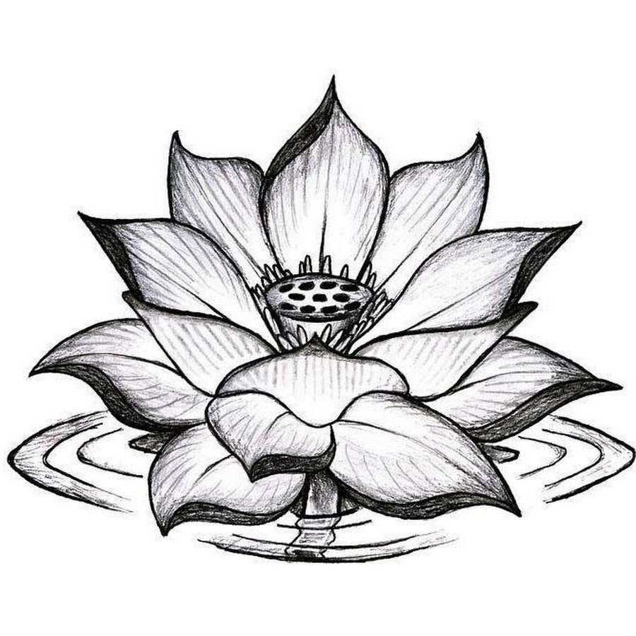 Lotus mandala tatueringsdesignmallar brösttatuering för kvinnor