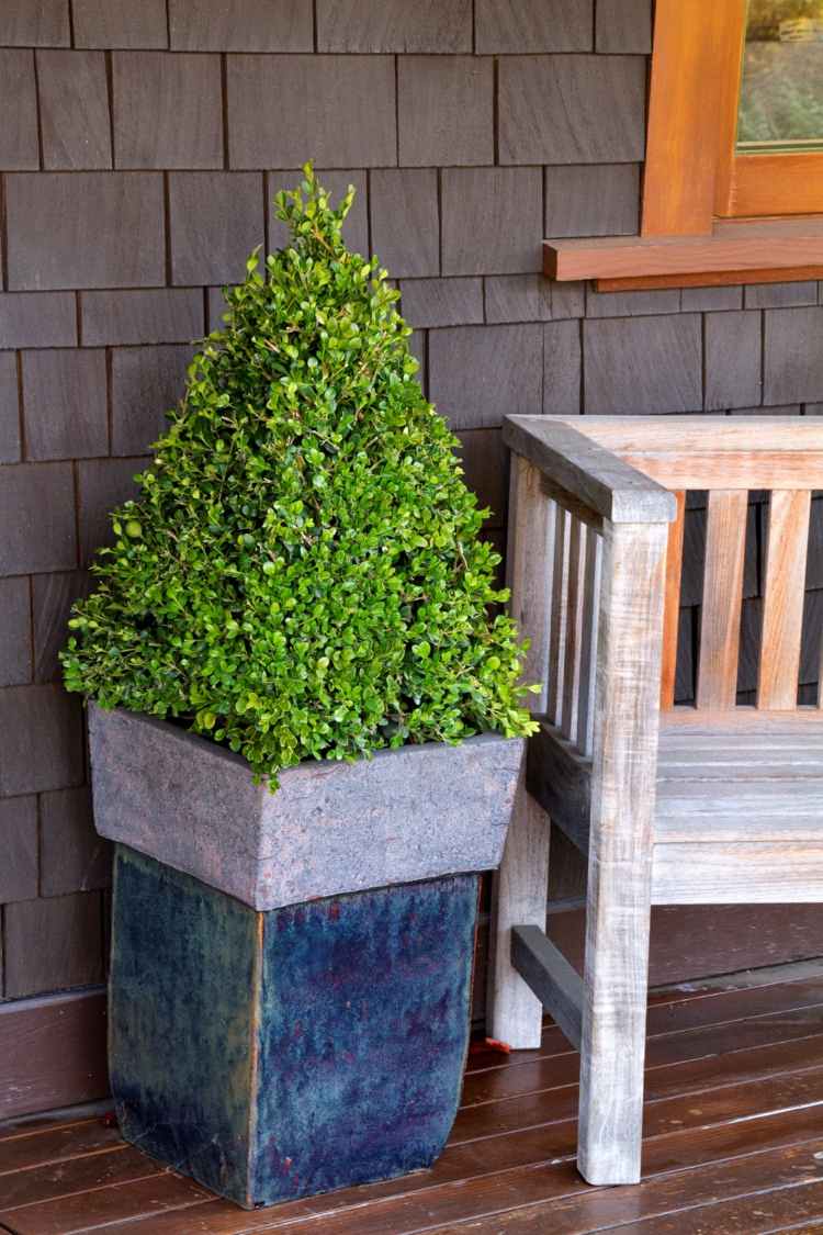 boxwood trädgård kon kon form planter trä bänk veranda deco