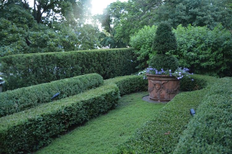 boxwood trädgård nivåer design idé gräsmatta område integritetsskydd