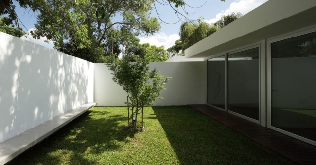 Hus betongvägg-innergård trädet odlat glas fasad-platt tak