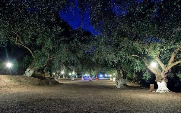 Camping Lithos Grekland-Olivträd Skugga