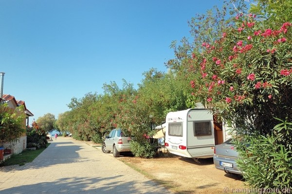 Campers Ionion Camp-Greece Ilia