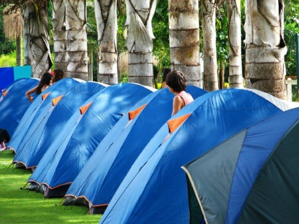 Camping Frankrike idéer under palmer