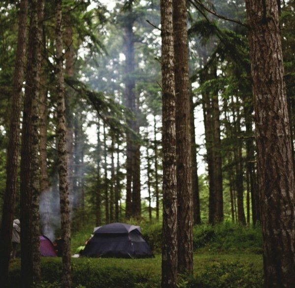 Forest camping vår semester idéer