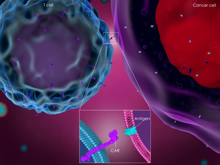 bil t cellterapi 3d illustration av processen mellan två cancerceller och antigen