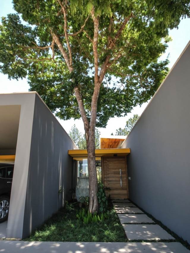 Bostadshus-träd-trädgårdsbyggnad volym-rektangulär-utvändig fasad-grå