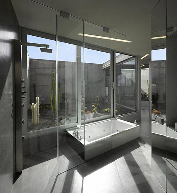modern-minimalistisk-hus-glas-badrum-kaktusar