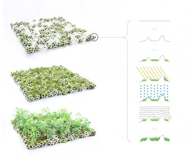 innovativ teknik grönmatta miniplanterare för mossväxter