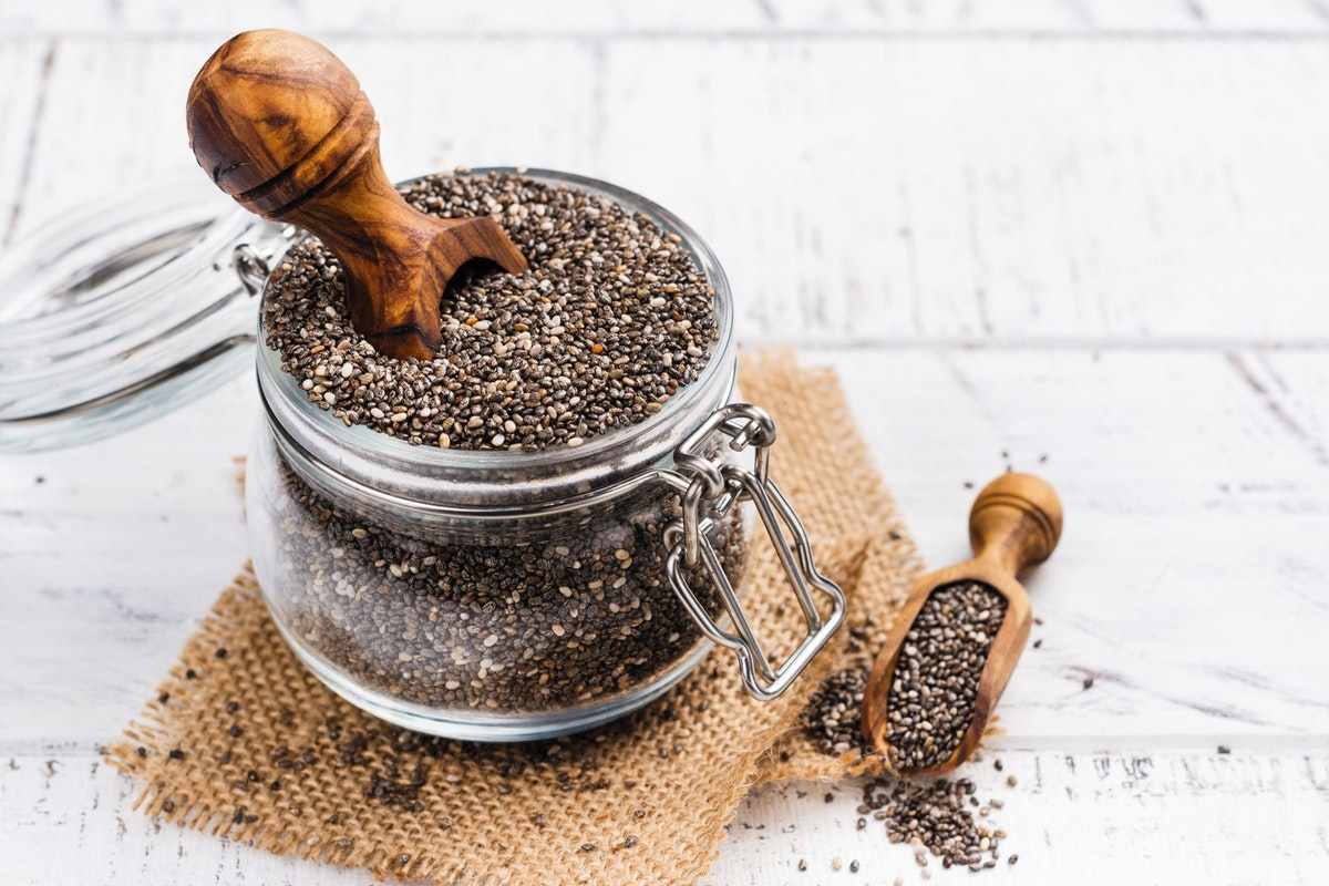 Chia recept för viktminskning lågkolhydratfrukostidéer
