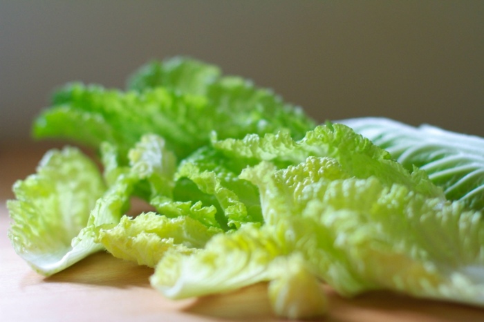 salladsblad kinakål sallad smörgås ingrediens tips vård trädgård