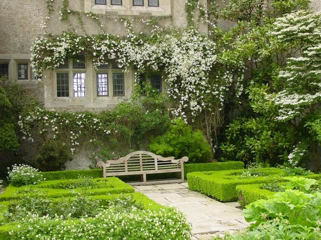 Clematis Alba Normandie vit fasad engelsk trädgård
