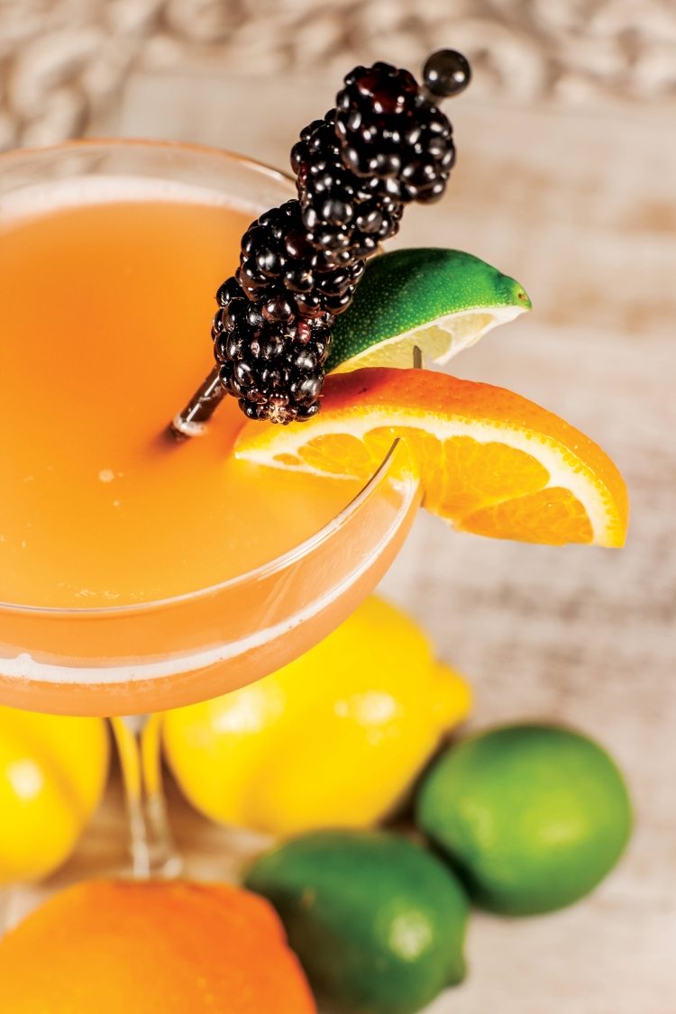 cocktails-dekorera-björnbär-fruktspett-citrusfrukter