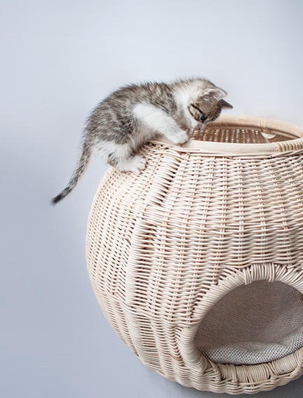 designobjekt för katter fuste basket cat house