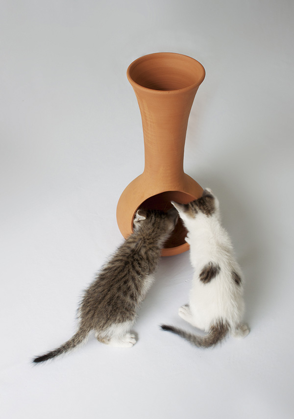 designobjekt katter laia fuste matskål