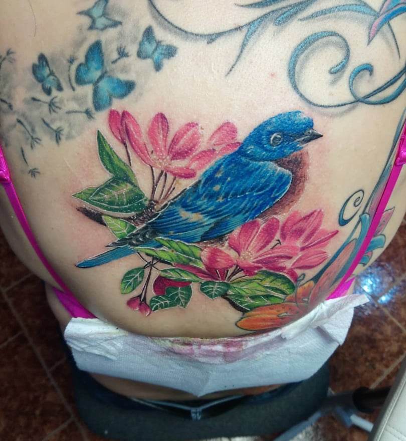 Bird tatuering design fjäril tatuering på ryggont