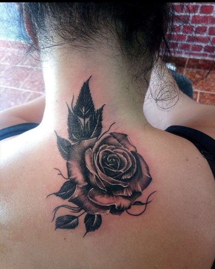 Rose blommor tatuering design tatuering på ryggsmärta tatuering vård