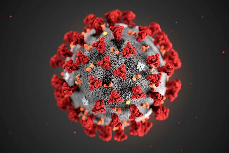Tips om förebyggande av smittspridning och förstärkning av immunsystemet