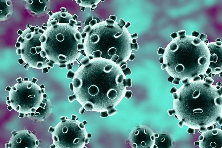 Coronavirus smittar hur vi kan skydda oss själva