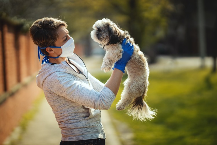 ung kvinna som bär skyddsmask för att förhindra coronavirus medan hon går med hund