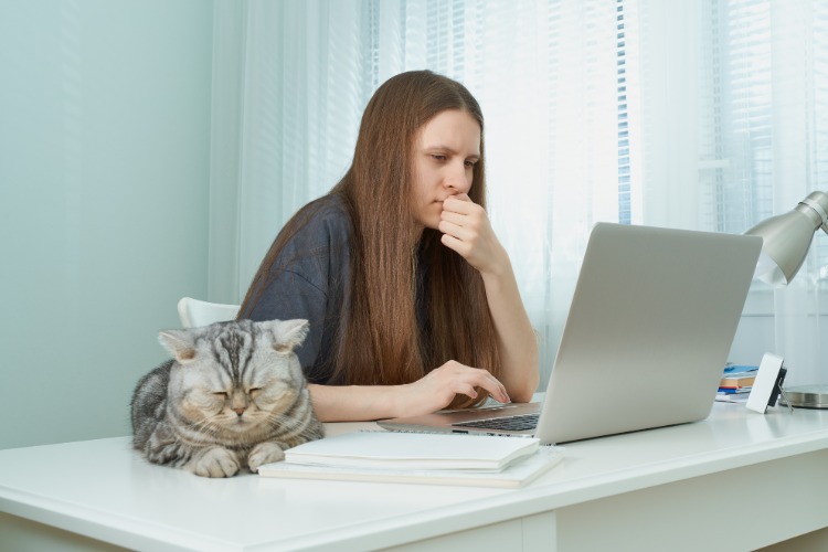 kvinna som undersöker corona katterna new york på sin bärbara dator
