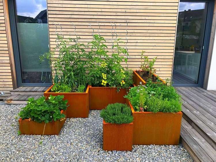 Idé för Corten stål upphöjd säng på terrassen med grönsaker och prydnadsväxter