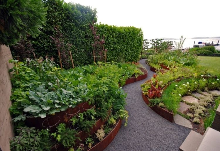 Böjda cortenbäddar för grönsaker och andra trädgårdsväxter och en trädgårdsväg av grus