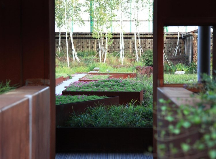 Corten stål-trädgård-planter-växt-växa-terrass-dörrar-outddor