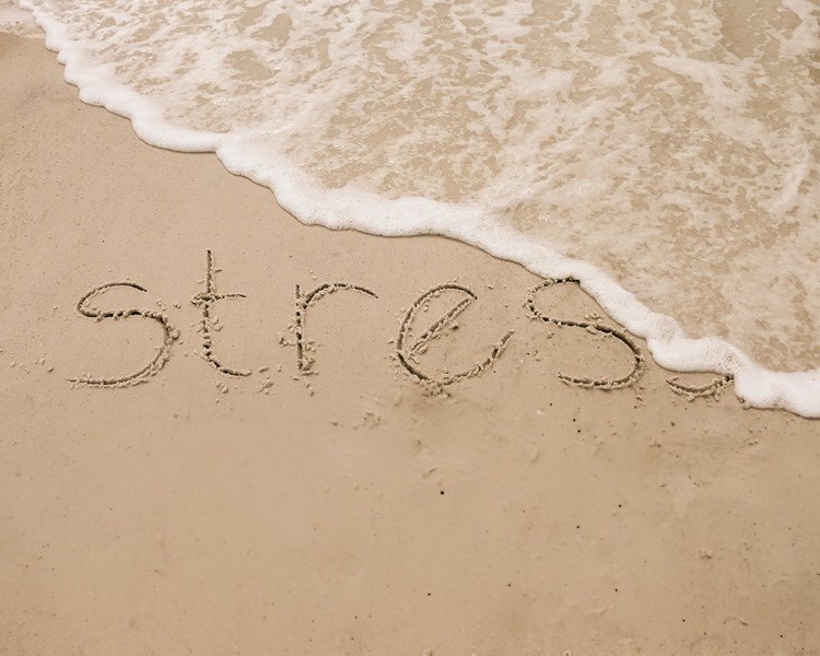 Reglera kortisol som ett stresshormon