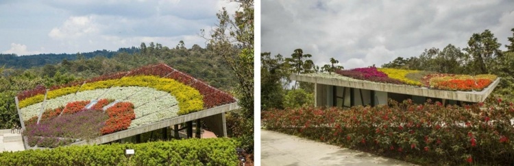 tak trädgård design blommor färgglada hus park idé colombia design