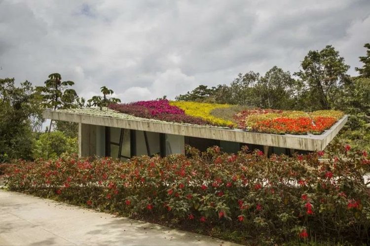 design trädgård taksystem design park buskar blommar bort promenad