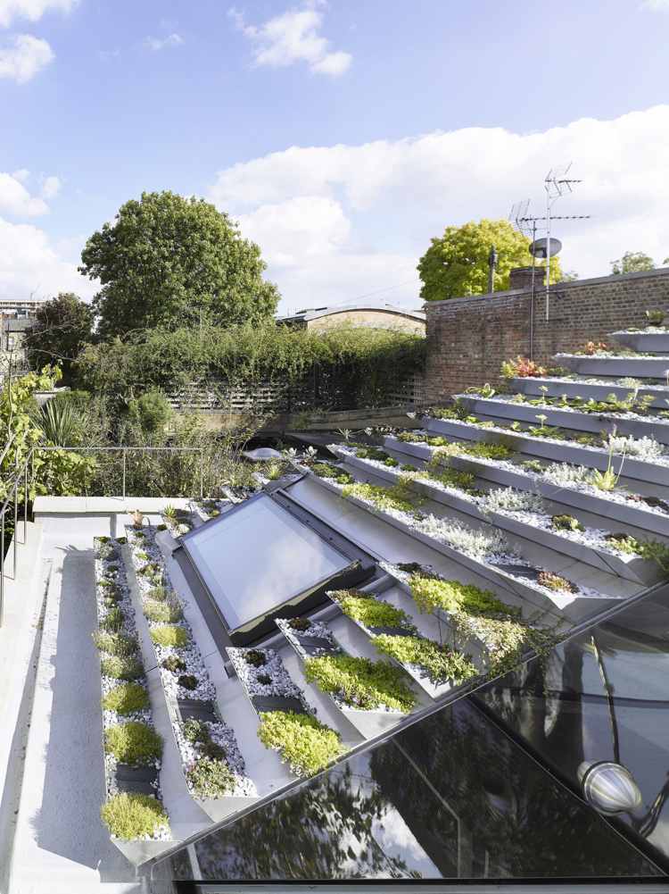 Skapa en takträdgård - grönt tak - modernt - takdesign - stadsträdgård