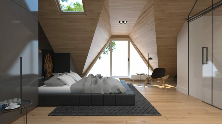 Sätt upp ett sluttande tak en-rums-lägenhet-fönster-golv-nivå-glas-dörr-badrum