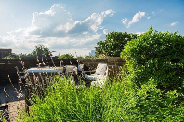 Grön takterrass design plantering plan tak trädgård gräsmatta hardscape landskapsarkitekt expert blommor gräs trottoar trä outlook