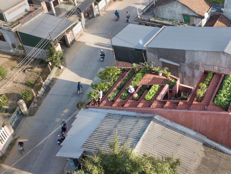 Plantera takterrassen. Skapa en grönsaksträdgård på taket. Rymdbesparande idé för en stadsvilla eller familjehus på en smal tomt