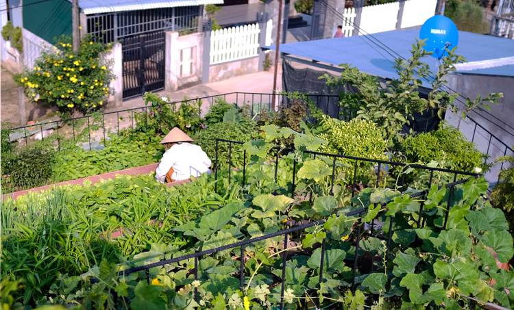 Plantera takterrassidéer för miljövänlig och hållbar arkitektur