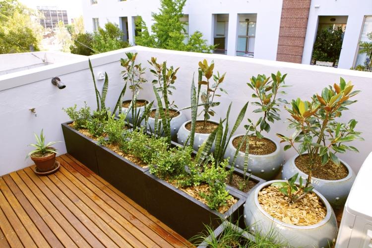 takterrass-design-plantering-runda-rektangulära-växt-krukor