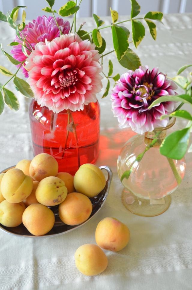 dahlior dekoration blommor glas vaser bord