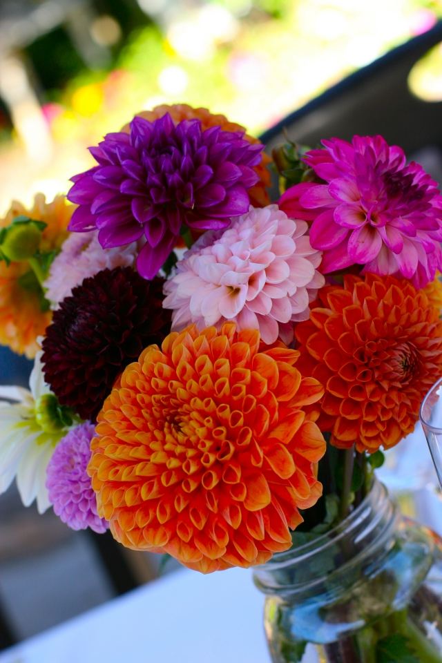 dahlia tips trädgård sommarbukett orange lila rosa