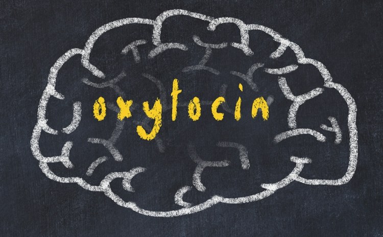 Vid kramning producerar hjärnan det lugnande oxytocinet, som bryter ner stresshormoner