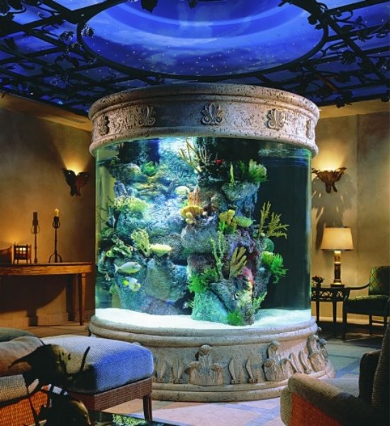 Ställ in ett akvarium hemma som en dekorativ antik stil