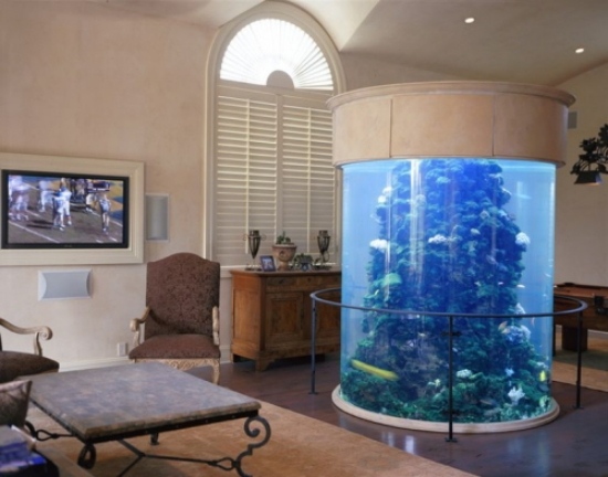 Inrätta ett akvarium som ett dekorativt element i vardagsrummet deco