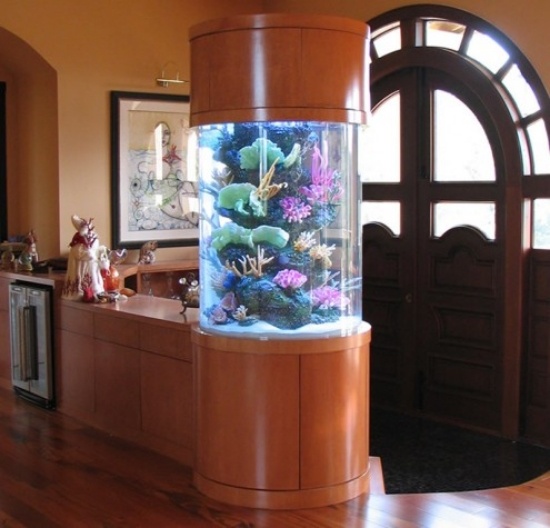 Ställ in ett akvarium hemma som en dekoration integrerad runt