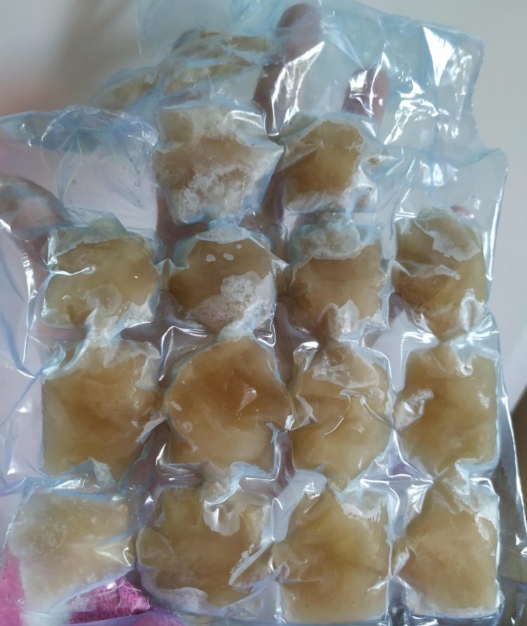 Frys linfrögel i isbitar
