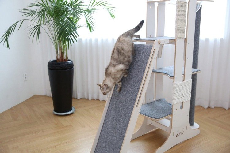Kattlekplats med rutschkana och skrapstolpe