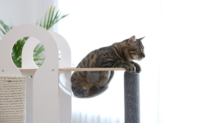 Designer kattträd med utsiktsplattform för huskatter