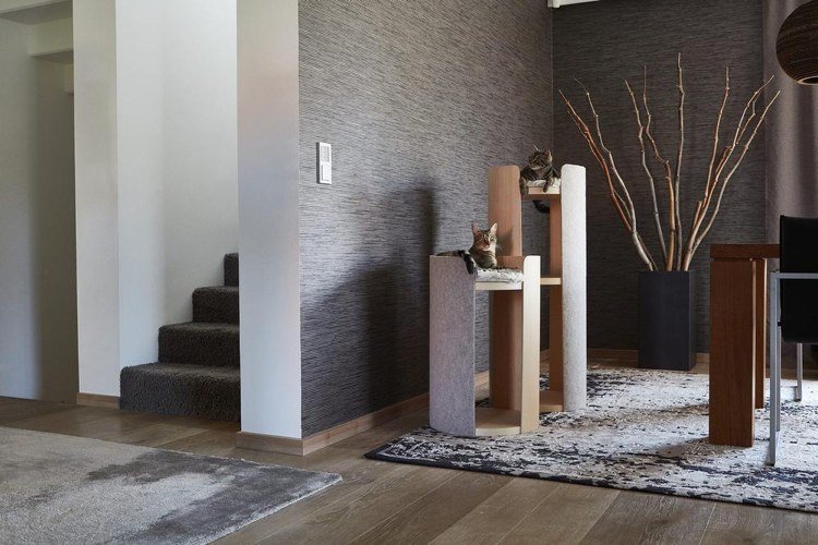Kattträddesign modern trägrå betraktningsplattform skrapstolpe
