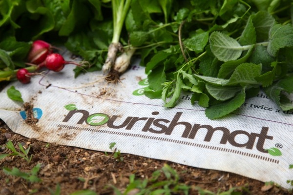 tänker miljövänlig nourishmat mini trädgård för hälsosam kost