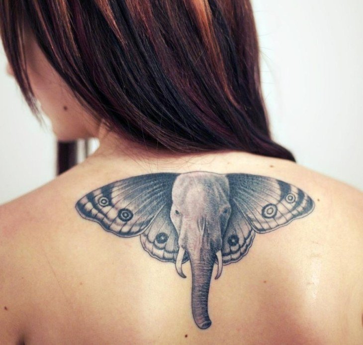 fjäril-tatuering-motiv-elefant-fjäril-vinge-öron