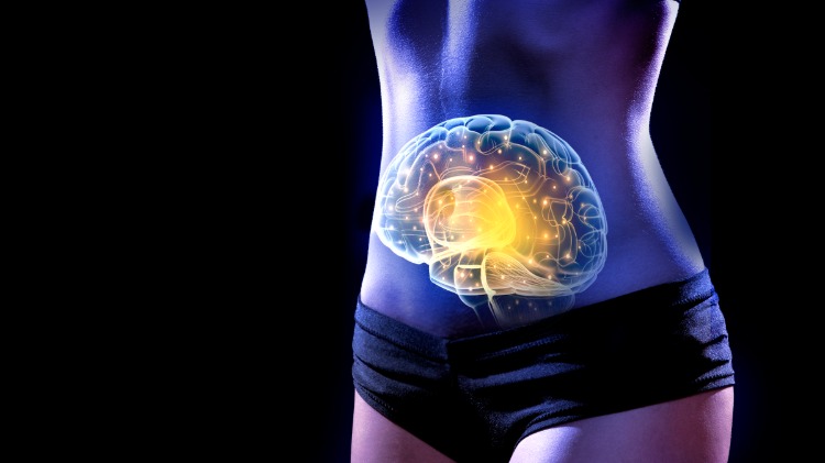 representation av magen som den andra hjärnan i människokroppen