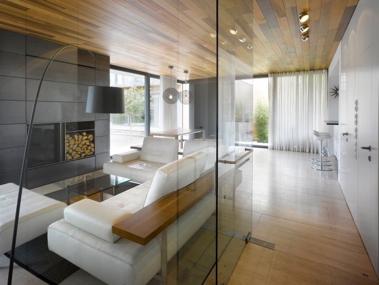 takpaneler-lägg-trä-vardagsrum-glas-vägg-soffa-öppen spis-modern